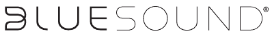 Bluesound - Node 2 - Brand Brand