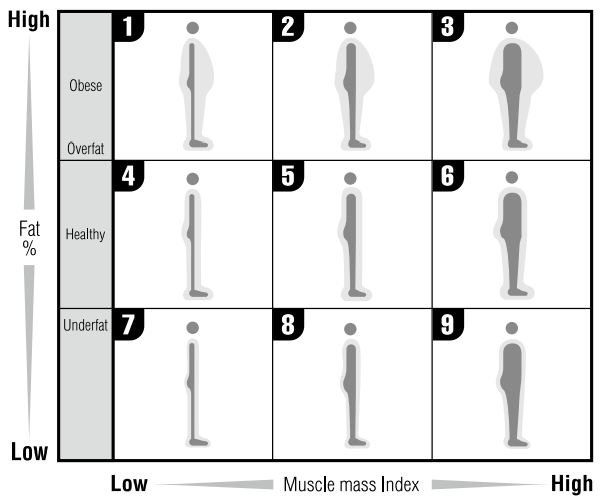 Tanita - InnerScan BC-1000 - WAT IS SPIERMASSA Stap 1 WAT IS SPIERMASSA Stap 1