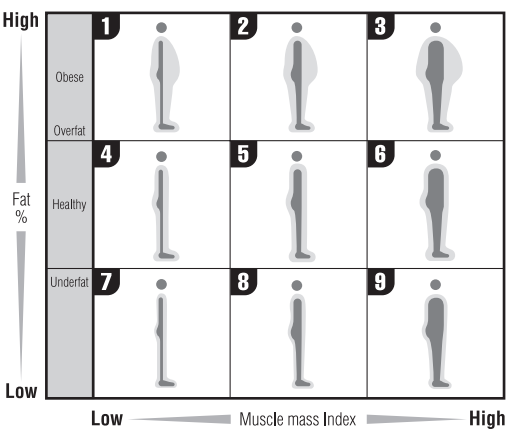 Tanita - InnerScan PRO RD-953 - Što je ocjena tjelesne građe Što je ocjena tjelesne građe