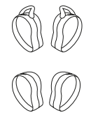 TaoTronics - SoundLiberty 79 - PACKAGE CONTENTS Step 3 PACKAGE CONTENTS Step 3