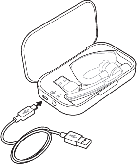 Plantronics - BT300 - Charge case to PC or USB wall charger Step 2 Nabíjecí pouzdro k PC nebo USB nabíječce Krok 2