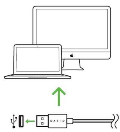 Razer - BASILISK - RAZER BASILISK UCHUN RAZER SYNAPSE-NI OʻRNATISH RAZER BASILISK UCHUN RAZER SYNAPSE-NI OʻRNATISH
