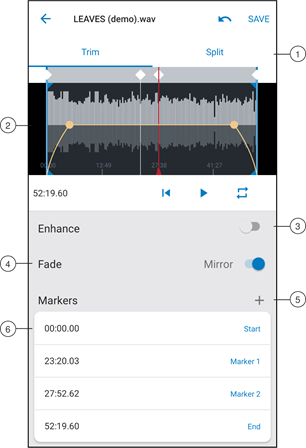 Shure - MV88plus - Editor Editor
