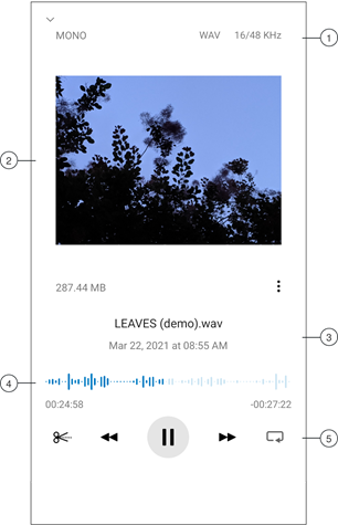 Shure - MV88plus - Reprodução Reprodução