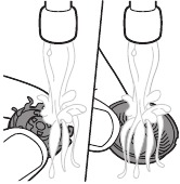Limpie el cortador y el protector bajo el grifo
