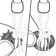 Čiščenje rezila in zaščite pod pipo