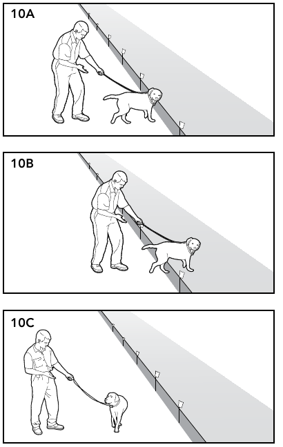 Petsafe - Подземный забор для упрямых собак - Руководство по дрессировке - Часть 1 Руководство по дрессировке — часть 1