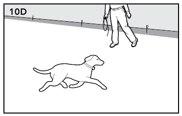 Petsafe - Подземный забор для упрямых собак - Руководство по дрессировке - Часть 2 Руководство по дрессировке — часть 2