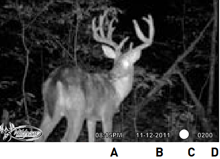 Wildgame Innovations - Prizm - СУРЕТТЕРДІ КӨРСЕТУ СУРЕТТЕРДІ КӨРСЕТУ