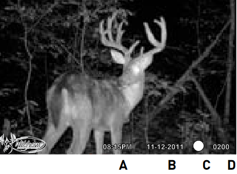 Wildgame Innovations - DRT Extreme - KUVANÄYTTÖ KUVANÄYTTÖ