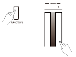 Tastele de transpunere