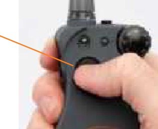 SportDOG - FieldSentinel 825 - Encontre o nível de reconhecimento do seu cão - Passo 2 Encontre o nível de reconhecimento do seu cão - Passo 2