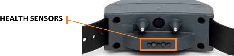 SportDOG - FieldSentinel 825 - Como funciona Como funciona