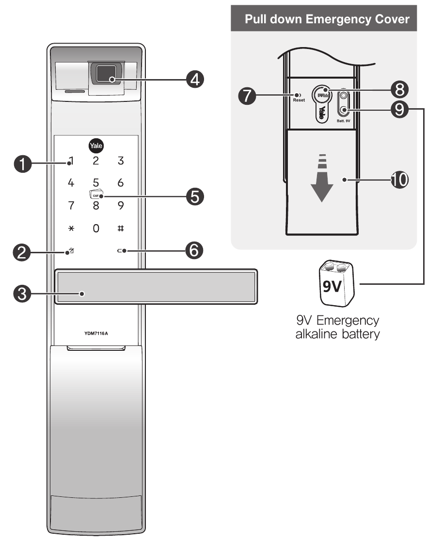 ASSA ABLOY - Yale YDM7116A - Cuerpo frontal Cuerpo frontal