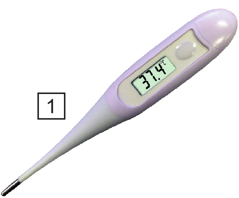Alecto - BC-04 - 1-модель, ересектерге арналған 1-модель, ересектерге арналған
