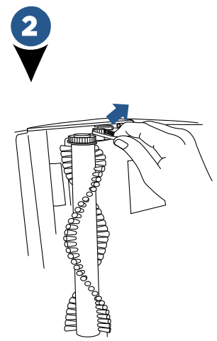Bissell - ProHeat Advanced 1846 Series - Maintenance: Belt Replacement - Step 2 Manutenção: Substituição da Correia - Passo 2