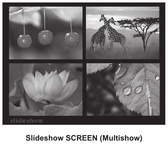 Oregon Scientific - TW686 - FUNCȚIA ECRANULUI DE PREZENTARE DE DIAPOZITIVE FUNCȚIA ECRANULUI DE PREZENTARE DE DIAPOZITIVE