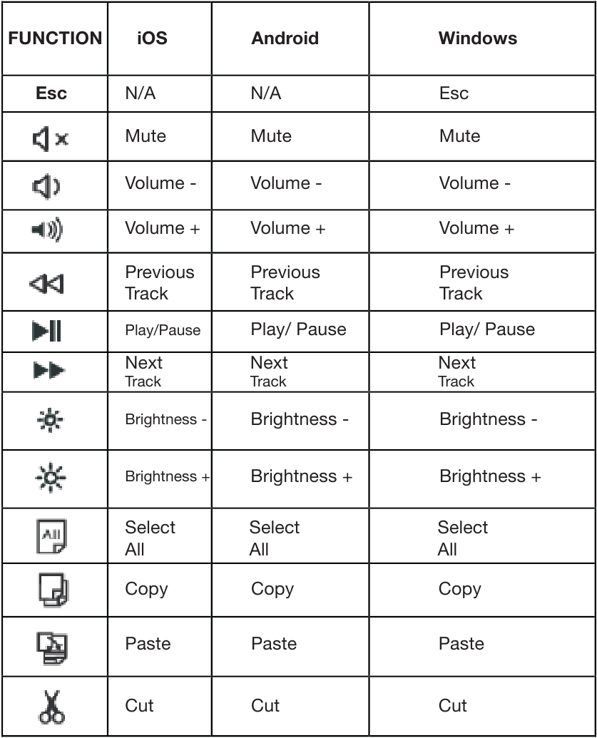 Urban Factory - ONLEE BBK01UF - Altre Funzioni Altre Funzioni