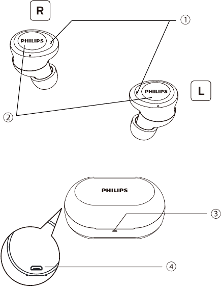 Philips - TAT1215 - Prehľad vašich skutočných bezdrôtových slúchadiel Prehľad vašich skutočných bezdrôtových slúchadiel