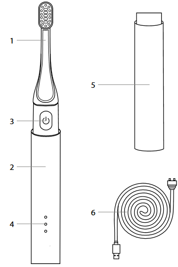 TrueLife - SonicBrush T100 - Raspored proizvoda Raspored proizvoda