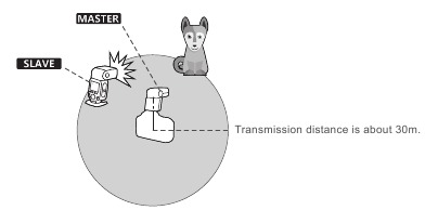 Godox - TT350C - Prise de vue flash automatique avec une seule unité esclave Prise de vue flash automatique avec une seule unité esclave