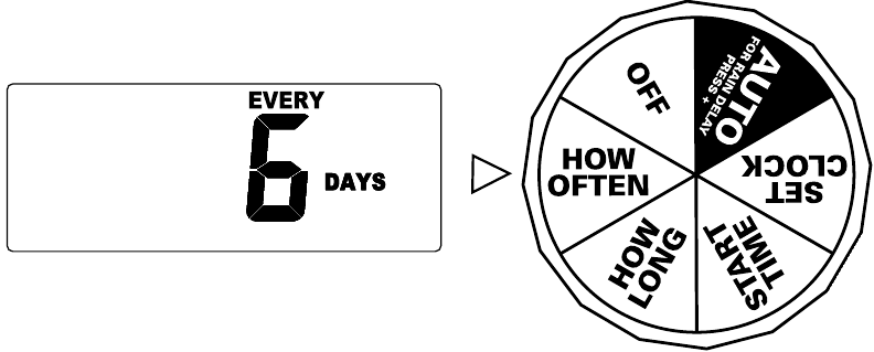 Orbit - 62056 - MARA NGAPI MARA NGAPI