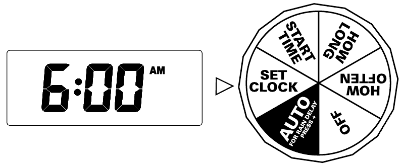 Orbit - 62056 - WEKA SAA WEKA SAA