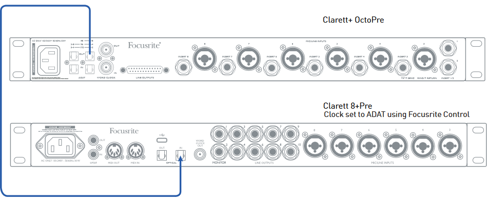 Focusrite - Clarett+ OctoPre - Saat lideri olarak OctoPre Saat lideri olarak OctoPre