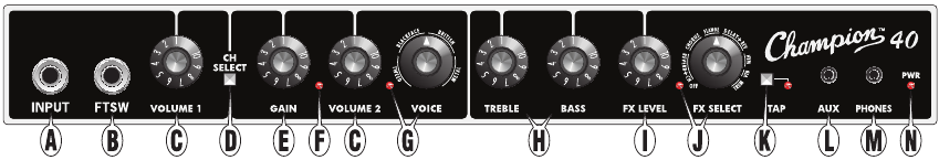 Fender - Shampion 40 - Panoul frontal Panoul frontal