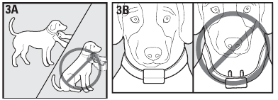 Sportdog - FieldTrainer 400 - Volg deze stappen om een goede pasvorm te garanderen Volg deze stappen om een goede pasvorm te garanderen