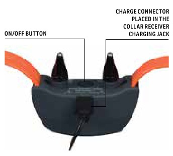 SportDOG - SportTrainer 575 - LAAD DE HALSBANDONTVANGER OP LAAD DE HALSBANDONTVANGER OP