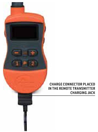 SportDOG - SportTrainer 575 - LAAD DE AFSTANDSBEDIENING OP LAAD DE AFSTANDSBEDIENING OP