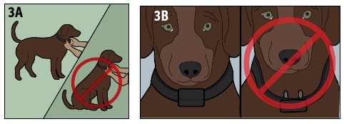 SportDOG - SportTrainer 575 - PAS DE HALSBANDONTVANGER AAN - Deel 1 PAS DE HALSBANDONTVANGER AAN - Deel 1