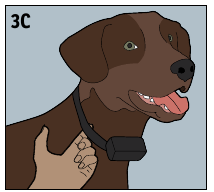 SportDOG - SportTrainer 575 - PAS DE HALSBANDONTVANGER AAN - Deel 2 PAS DE HALSBANDONTVANGER AAN - Deel 2