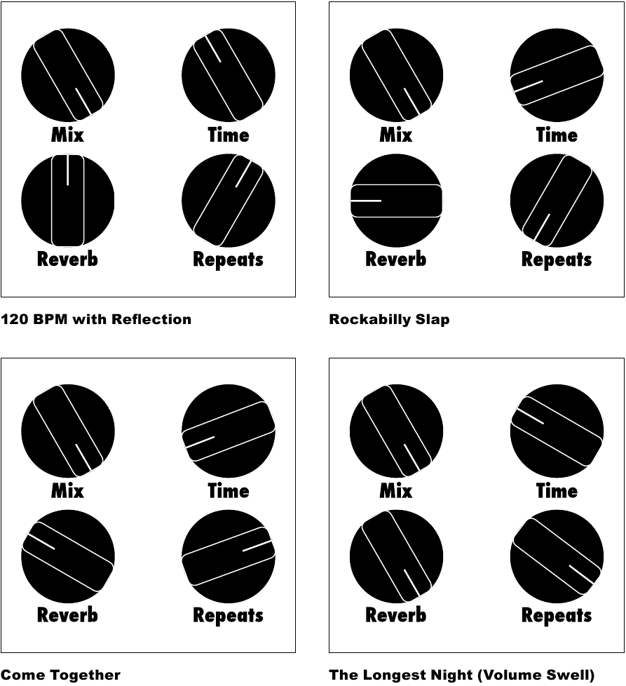 EarthQuaker Devices - Dispatch Master - Mipangilio Iliyopendekezwa Mipangilio Iliyopendekezwa