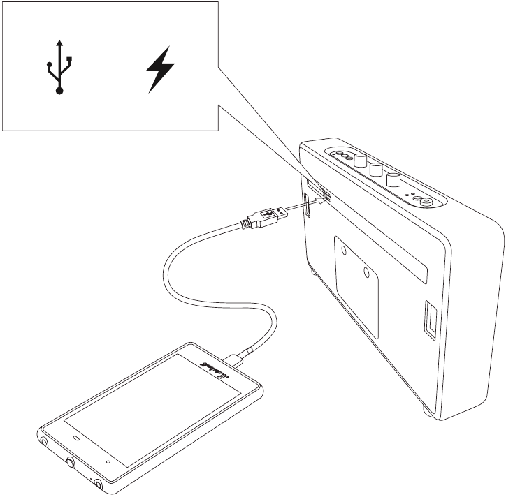 Marshall - Stockwell - Use with other devices Use with other devices