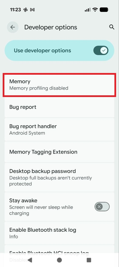 En seksjon av den lange listen over utvikleralternativer, som fremhever Minne.