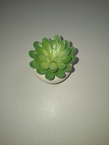 Fotografia com Flash