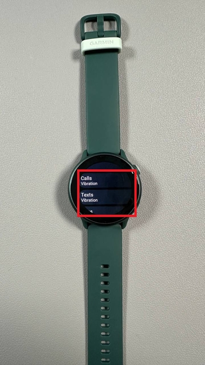 Personalizar notificaciones para aplicaciones individuales en Garmin Vivoactive 6
