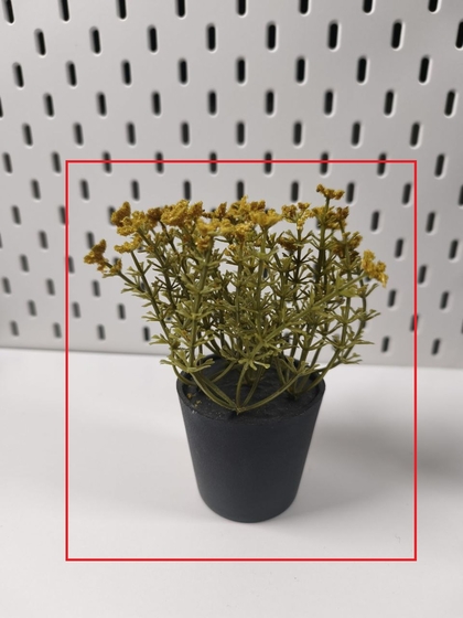 Esempio di un soggetto adatto alla fotografia macro