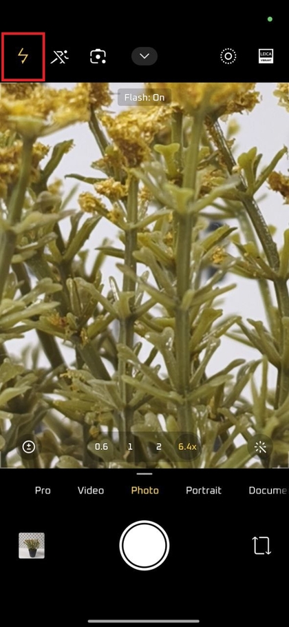 Accendere la torcia per foto macro migliorate