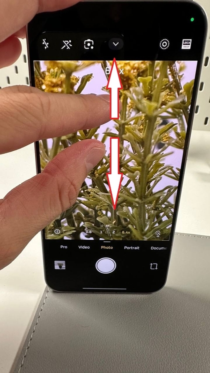 Ingrandire un soggetto per la fotografia macro