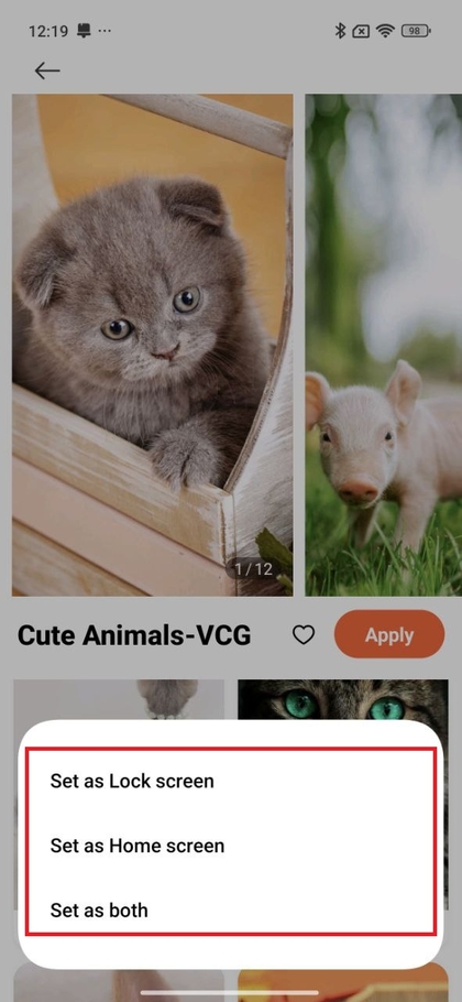Setting wallpaper preference on Xiaomi 15T