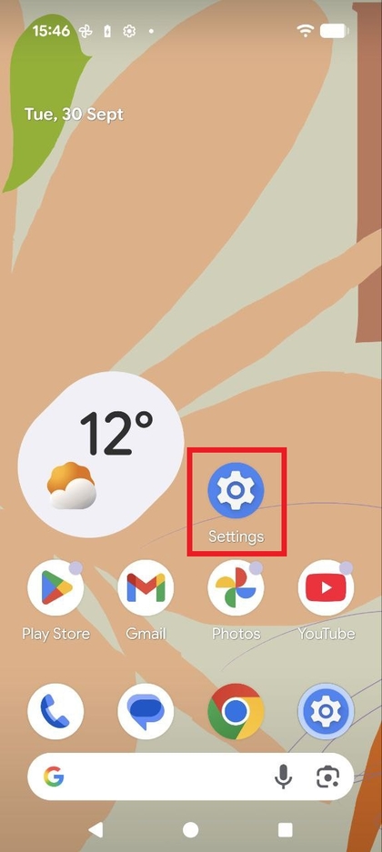 Capture d'&eacute;cran de l'&eacute;cran d'accueil du Pixel 10 Pro montrant l'ic&ocirc;ne de l'application Param&egrave;tres.