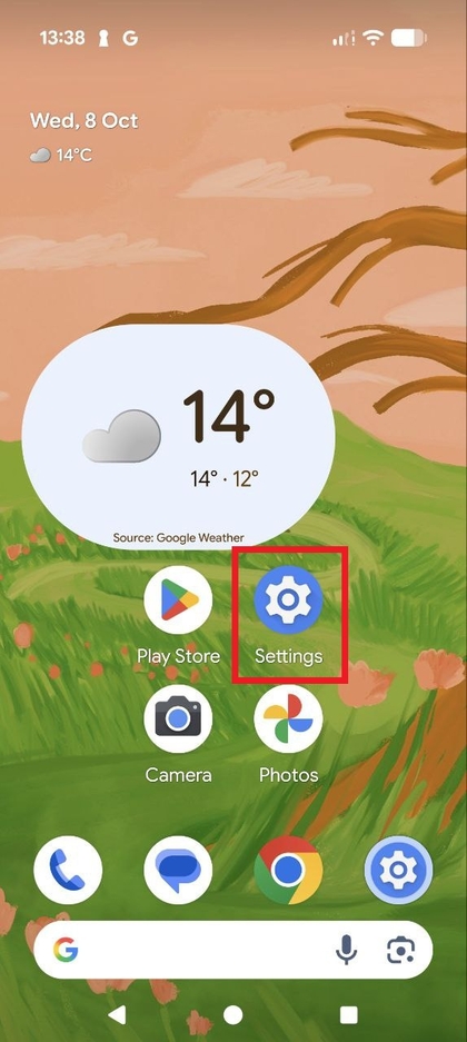How to Set Up Fingerprint on Google Pixel 10 Pro | ManualsLib