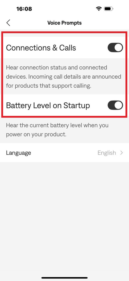 Pengaturan perintah suara