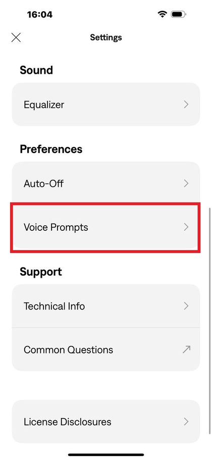 Pengaturan perintah suara