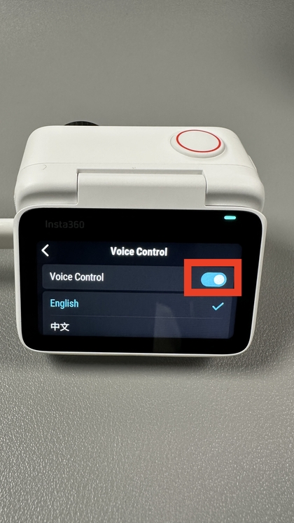 Language settings for voice control