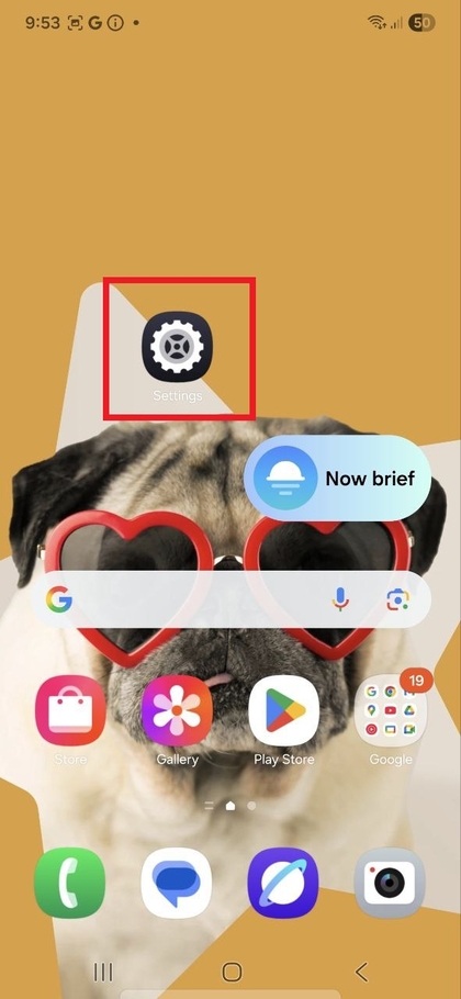 &Iacute;cone de Configura&ccedil;&otilde;es do Samsung Galaxy S25 FE