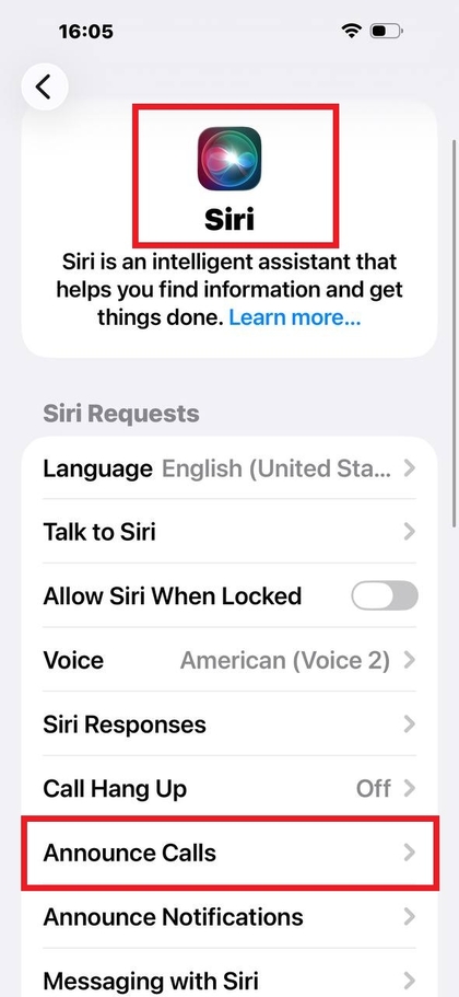 Siri-indstillinger p&aring; iPhone